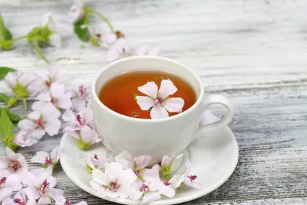 Xícara de chá sobre um pires, com uma flor rosa-clara de malva boiando, cercada de flores de malva sobre uma mesa de madeira