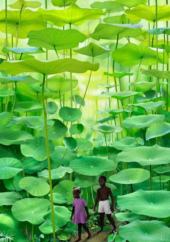 Menina de vestido lilás e menino de bermuda branca caminhando entre enormes folhas verdes